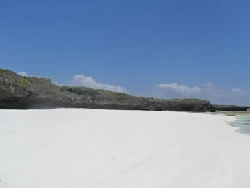 Thumbnail 14