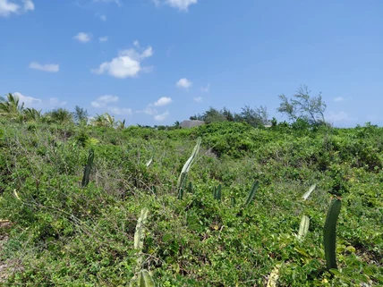 Land for sale in Diani, Kwale County