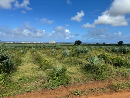 Land for sale in Vipingo, Kilifi County