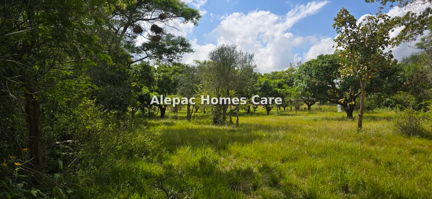 Land for sale in Juja