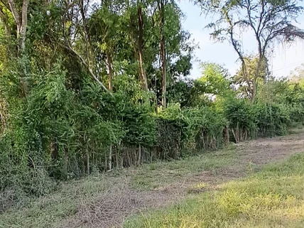 Land for sale in Kikambala, Kilifi County