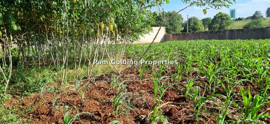 Land for sale in Nyari