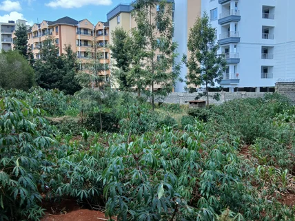Land for sale in Ruaka, Kiambu County