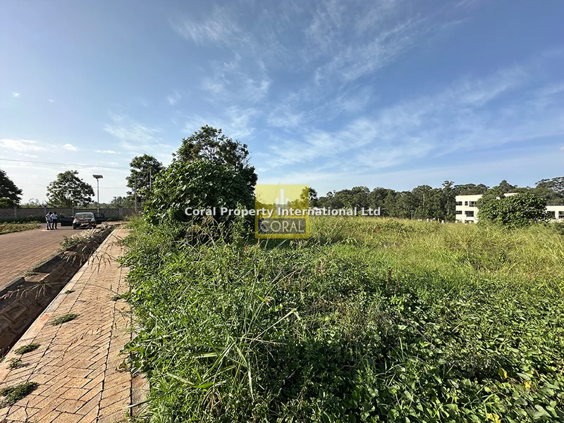 Land for sale in Tatu City