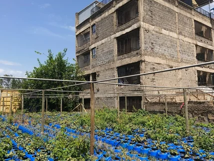 Land for sale in Murang'a County
