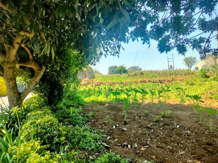 Land for sale in Tigoni, Limuru