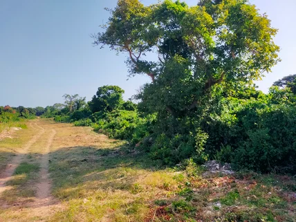 Land for sale in Vipingo, Kilifi County