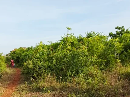 Land for sale in Diani, Kwale County