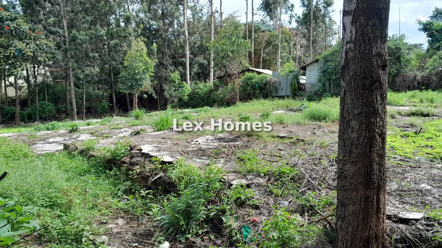 Commercial Land for sale in Ongata Rongai