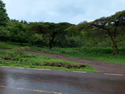Land for sale in Tigoni, Limuru