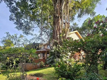 3-bedroom House for rent in Spring Valley, Westlands