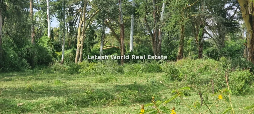 Land for sale in Naivasha