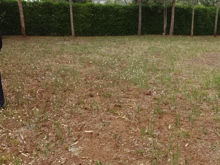 Residential Land for sale in Ngong, Kajiado County