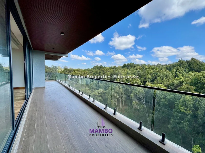4-bedroom Apartment for rent in Spring Valley