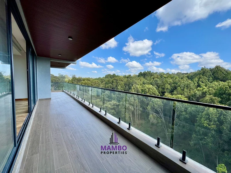 Luxury 4 bedroom apartment for rent in Spring Valley