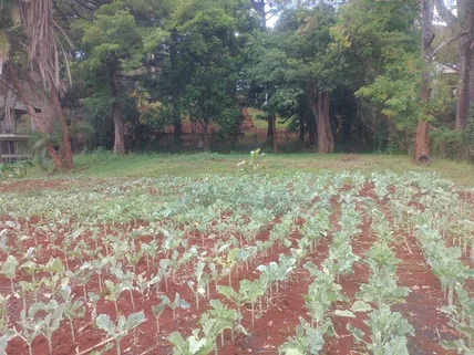 Residential Land for sale in Kyuna, Westlands