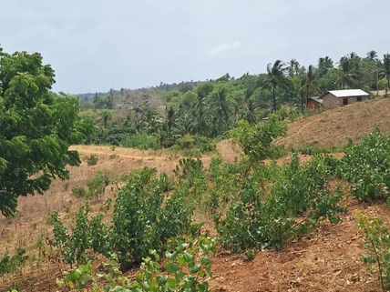 Land for sale in Kilifi, Kilifi County