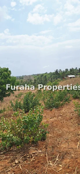 Land for sale in Kilifi