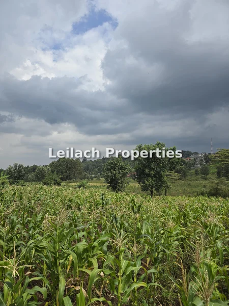 Residential Land for sale in Ngong