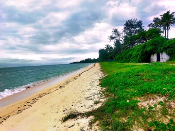 Thumbnail 18