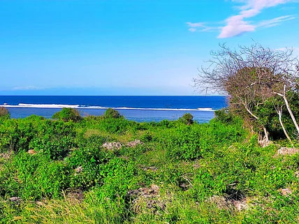Land for sale in Kikambala, Kilifi County