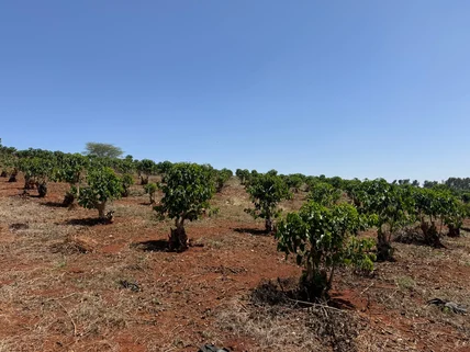 Land for sale in Tatu City, Ruiru