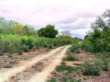 Land for sale in Vipingo, Kilifi County