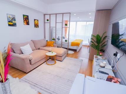 Bedsitter for rent in Kilimani, Nairobi