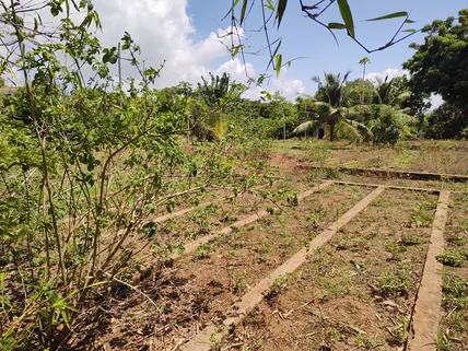 Residential Land for sale in Diani, Kwale County