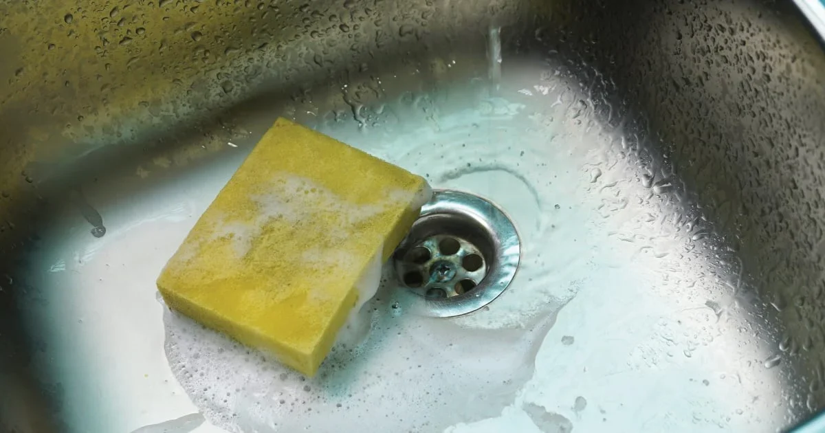 cleaning sponges