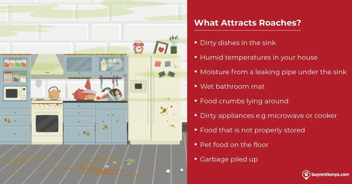 things that bring cockroaches to your house