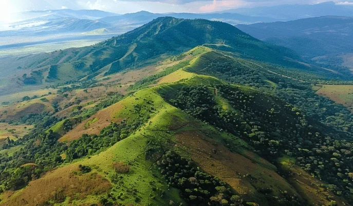 The Guide to Living in Ongata Rongai