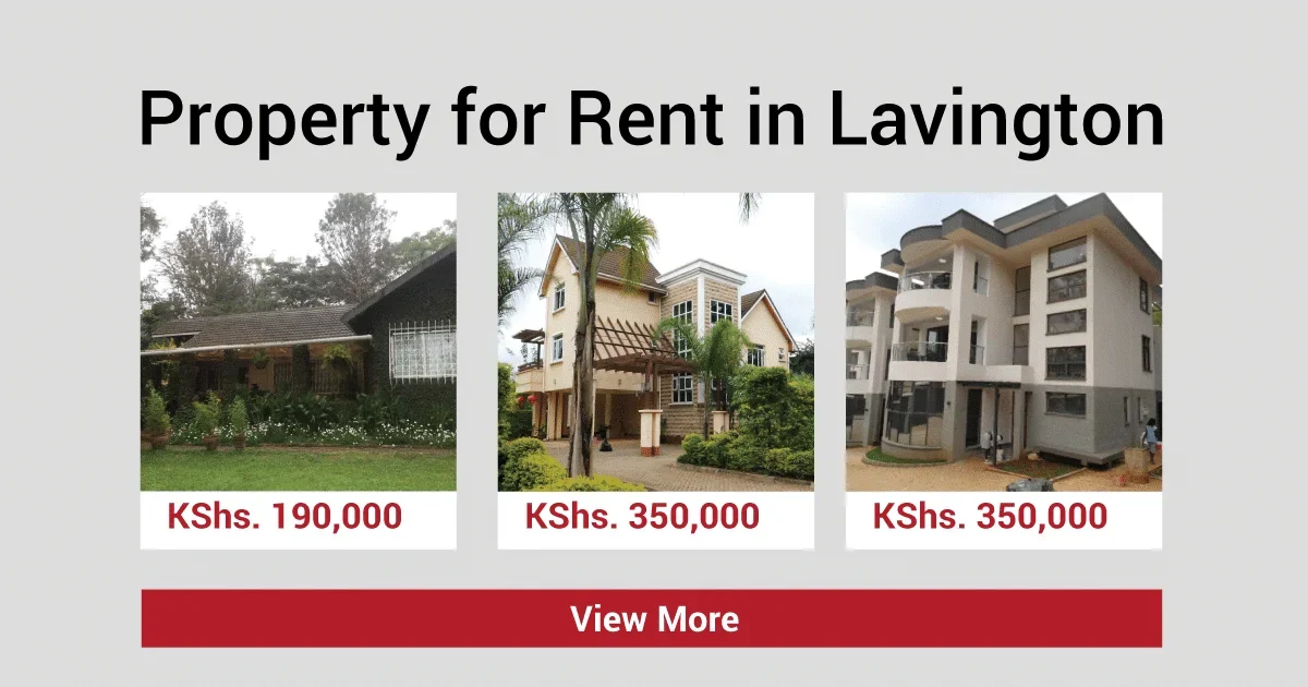property for rent lavington