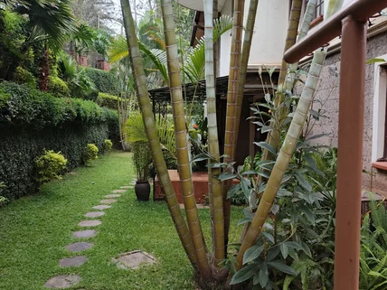 5-bedroom Townhouse for rent in Lavington, Nairobi