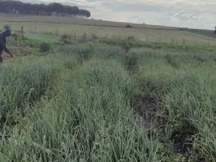 Land for sale in Nanyuki, Laikipia