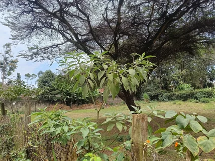 Residential Land for sale in Runda, Westlands