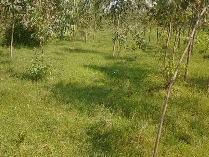 Commercial Land for sale in Karen, Nairobi