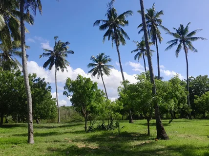 Residential Land for sale in Watamu, Kilifi County