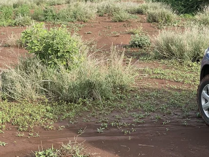 Residential Land for sale in Kitengela, Kajiado County