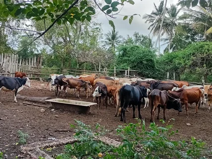 Commercial Land for sale in Kwale County