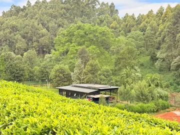 Thumbnail 12