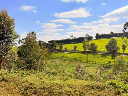 Residential Land for sale in Tigoni, Limuru