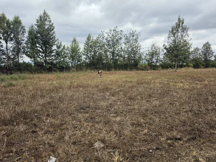 Residential Land for sale in Ngong, Kajiado County