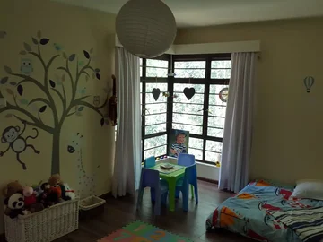 Thumbnail 16