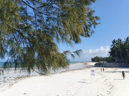 1-bedroom House for sale in Diani, Kwale County