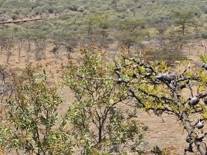 Commercial Land for sale in Kajiado, Kajiado County