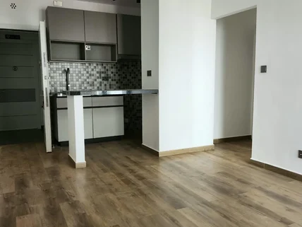 1-bedroom Apartment for rent in Tatu City, Ruiru