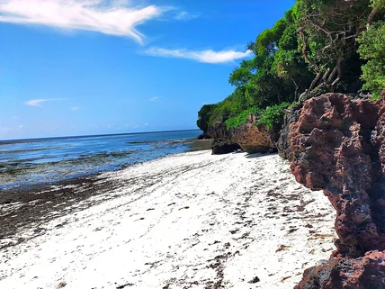Residential Land for sale in Vipingo, Kilifi County