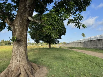 Thumbnail 11