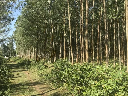 Residential Land for sale in kakamega